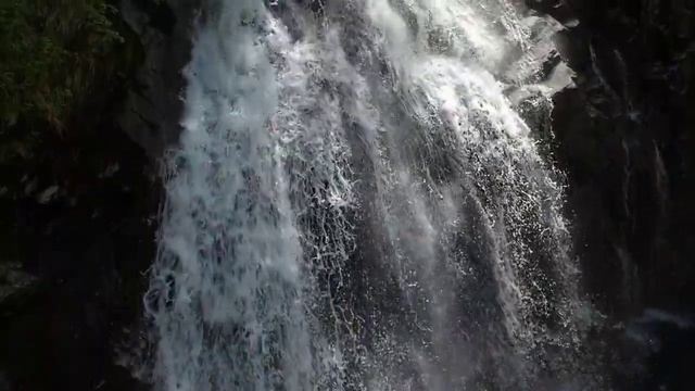 Истинное отцовство смотреть онлайн