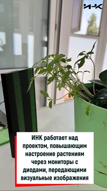 Настроение растений, ИНК, наука, выращивание растений,