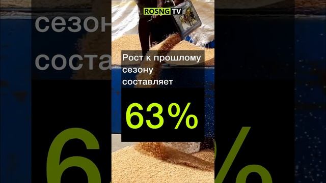 Что и сколько РФ поставляет в Африку #сельскоехозяйст? смотреть онлайн