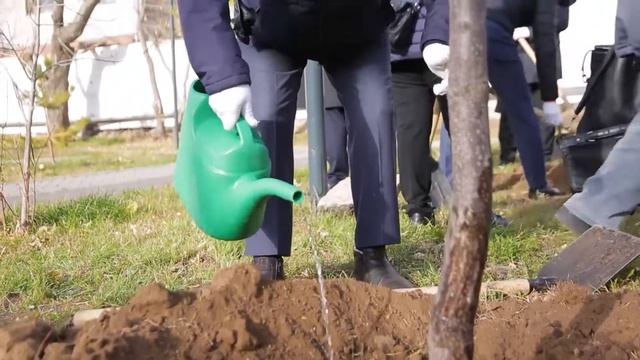 Посадка деревьев на аллее писателей в рамках экологич смотреть онлайн