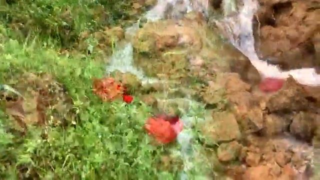 Водопад у подножия горы Мерон