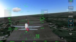 Red Wings Tu 204 Выкат за полосу. Авиакатастрофа во Внуково.