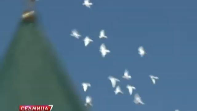 24 09 2012 лествица5  ИА Мост-Днепр  ИА Мост-Днепр - Днепропетровск