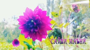 ЧОНАМ ФИДОИ НОМИ ПАЙГАМБАРИ МАДИНА 12 августа 2022 г.