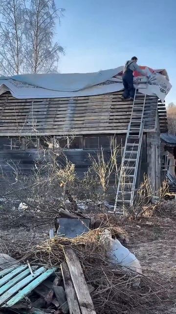 Восстанавливаем заброшенный участок #своимируками #д? смотреть онлайн