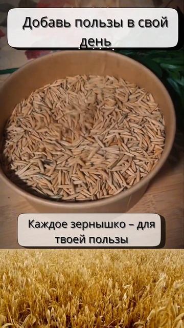 Овес для здоровья желудка и желчного пузыря 🌱