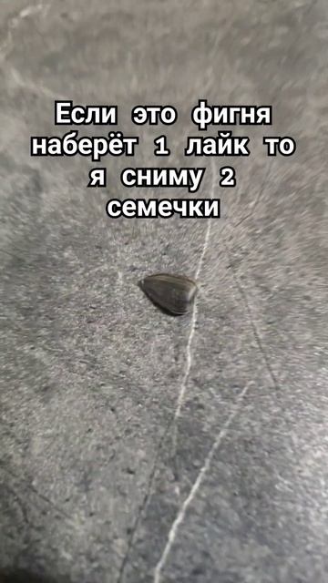 Обзор на семя #гений #семечки #shorts