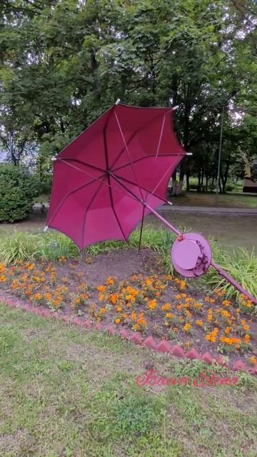 Клумба Зонтик. Балашиха. Shorts