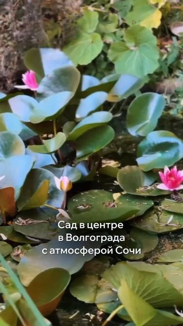 Были здесь? #лето #волгоград #тренды #тренд #топ #путеше?