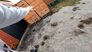 НА ШКОЛЬНИКА НАПАЛ НАСТОЯЩИЙ МАЙКЛ МАЙЕРС!