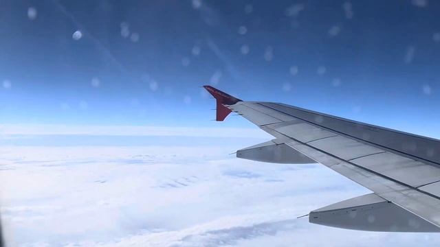 VLOG: летим с Николасом в Москву + ROOM TOUR смотреть онлайн