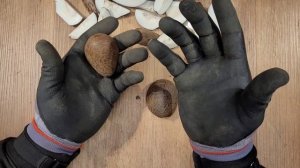 Taгуа орех, небольшой эксперимент....