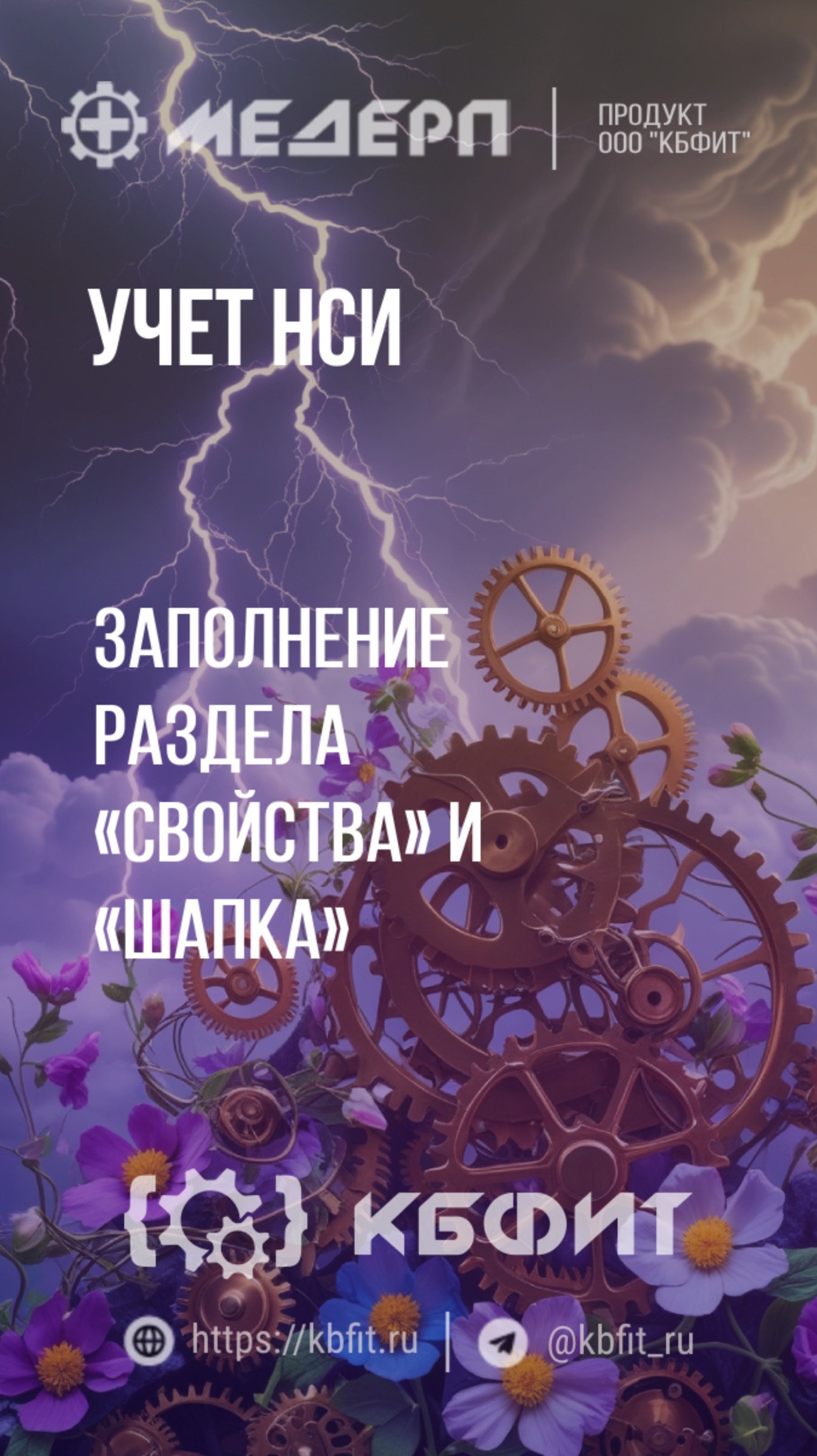 КБФИТ: МЕДЕРП. Учет НСИ: Источники финансирования заполняем разделы «Шапка» и «Свойства». Ч.1.