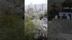 7.05.2024