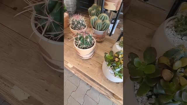 #garden #decor - декор для сада, каменная роза в вазоне / Garten Dek смотреть онлайн