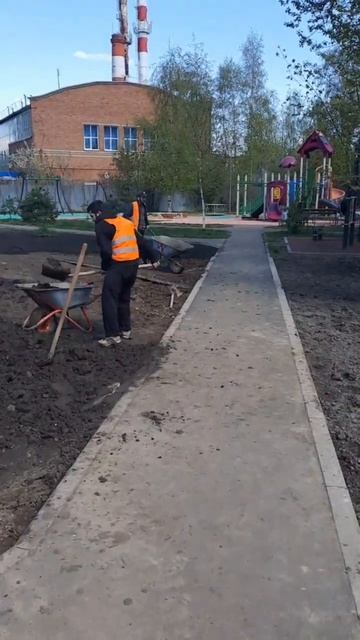 Городское озеленение. Газон в п. Кокошкино
