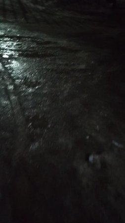 19 марта 2025 г, 21:26:23
Двор Г. Звезда 73 - Красноармейская 52 - торец
VID_20250319_212533861