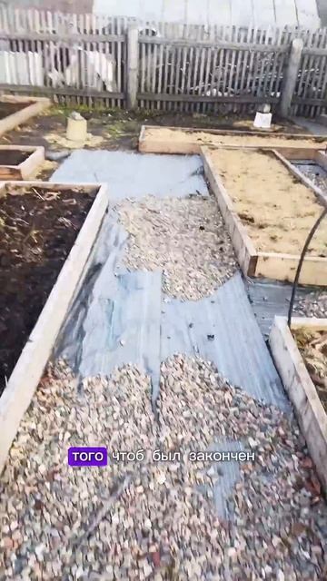 Преображение нового участка! #огород #сад #садоводство смотреть онлайн