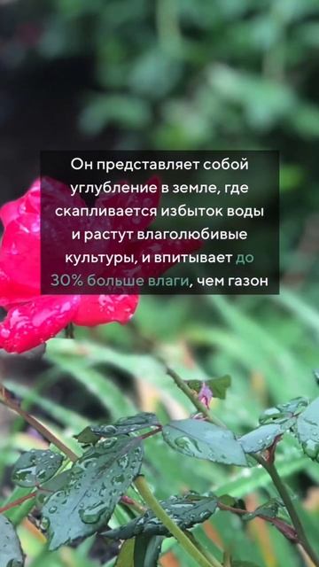 #shorts #экология #дренаж #дренажучастка #ливень #участоки