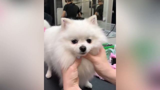 Окрашивание смотреть онлайн