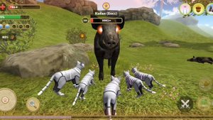 Милые кошки на ферме в игре Cat Simulator