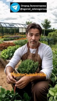 Зеленый лук круглый год: как вырастить сочные перья до