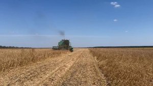 Уборка сои 2.0(24)