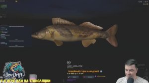 Fisher online 🎣 Рыбалка 🐺 Клубный турнир 🎵 Музыкальный чилл 🎵