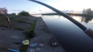 Немного поплавка на рассвете. Ловля на поплавок в городе!