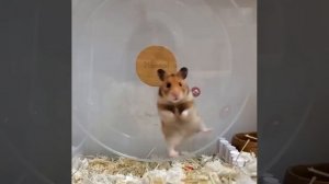 Не забудь подписаться!