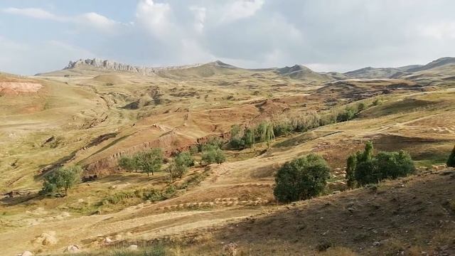 Ноев ковчег 1