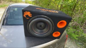 Обзор DL AUDIO PIRANHA DOUBLE PORT V.2