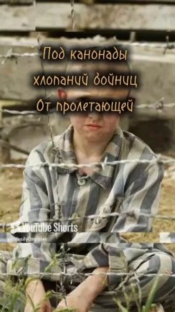 Нам больно думать о войне стихи читает автор В Дмитриев #жизнь #истина #правда #поэзия #поэт #shorts