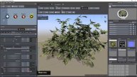 18 Creating Our Shrubs Part1