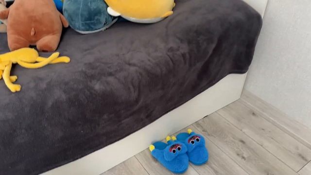 шпиц Мия выполняет команды #Мия #шпиц смотреть онлайн