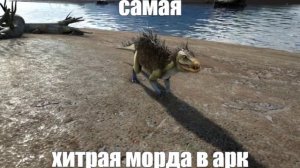Мемы по АРК #2 (ARK приколы)