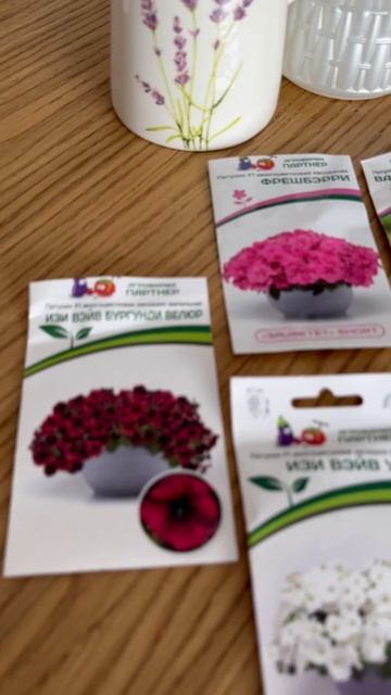 Теперь сижу и придумываю петуниевые композиции 😁 #пе? смотреть онлайн