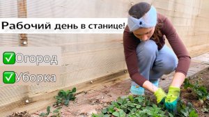 Приехала ПОМОЧЬ БАБУШКЕ! Что стало с ОГОРОДОМ и ДОМОМ? ПОЧИНИЛИ МАШИНУ БЕЗ МАСТЕРА какие у нас планы