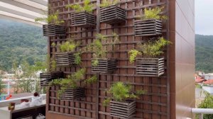 Фитостена из Пеларгоний, Живая Стена из Цветов