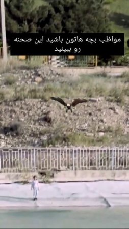 video_2025-05-04_00-42-10