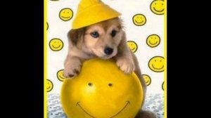 С днем рождения Боря!!!