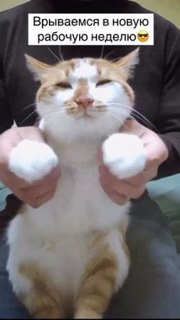 Танцульки 2