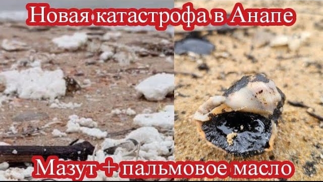 НОВАЯ КАТАСТРОФА В АНАПЕ. ПАЛЬМОВОЕ МАСЛО НА ПОБЕРЕЖЬЕ.