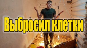 Напольное содержание бройлера. Вернулись к истокам.