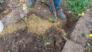 Теплая грядка. Куда девать ботву с огорода осенью посл