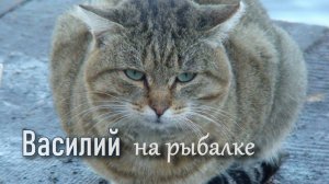 Заядлый Рыбак-кот Василий !!!🐡 #озеро #рыбалка