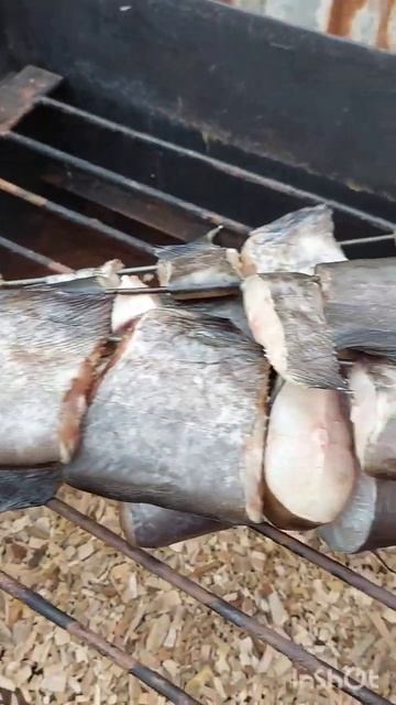 КОПЧЕНИЕ СОМА /СОМ КОПЧЕНЫЙ/АСТРАХАНСКИЙ СОМ/АСТРАХАН смотреть онлайн