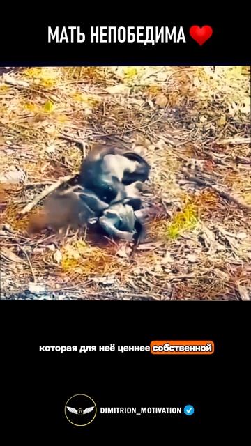 Мать никто не победит #сила