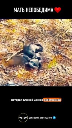 Мать никто не победит #сила