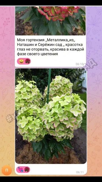 ОТЗЫВЫ #наташинИсерёжинСАД смотреть онлайн